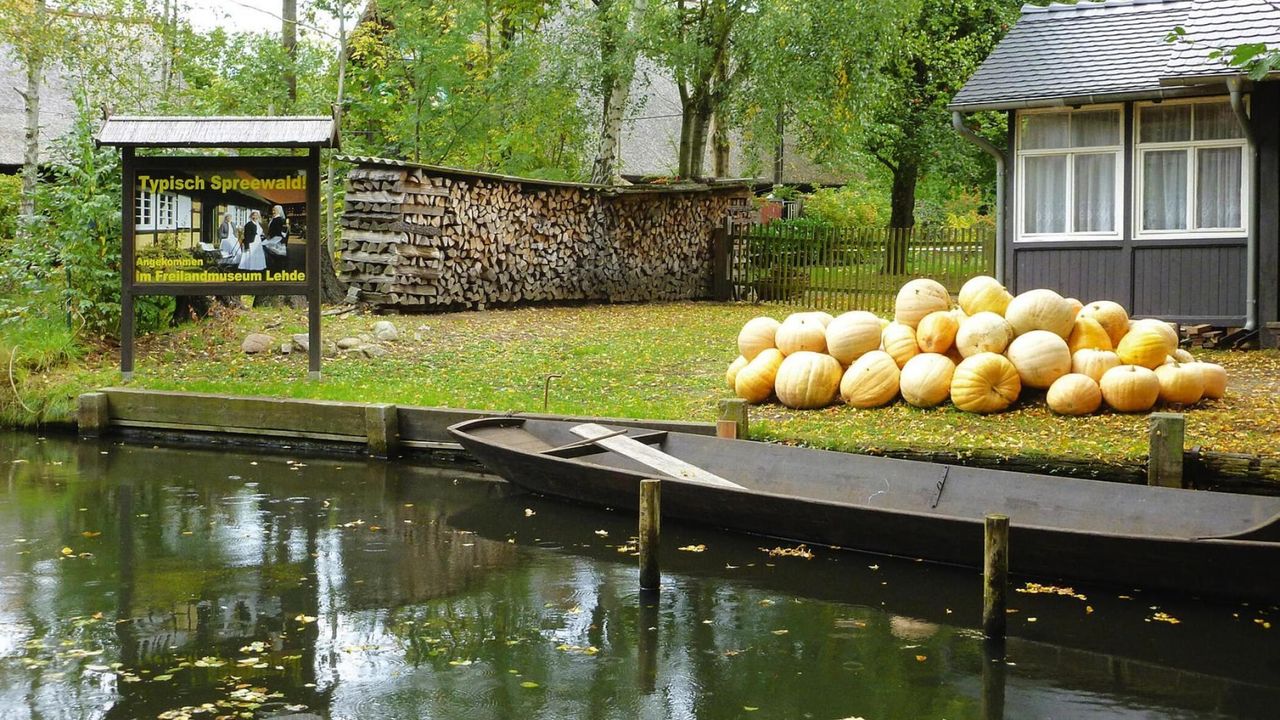 AreaSummer1KM AreaSummer1KM